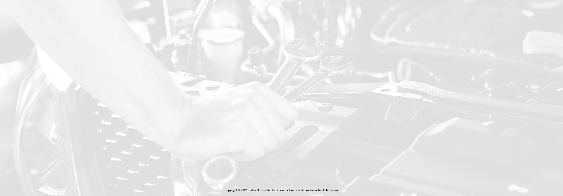 banner-1